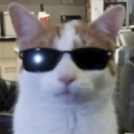 realbusinessman