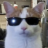 realbusinessman