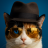 CatBroGaming