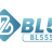 bl555mobi